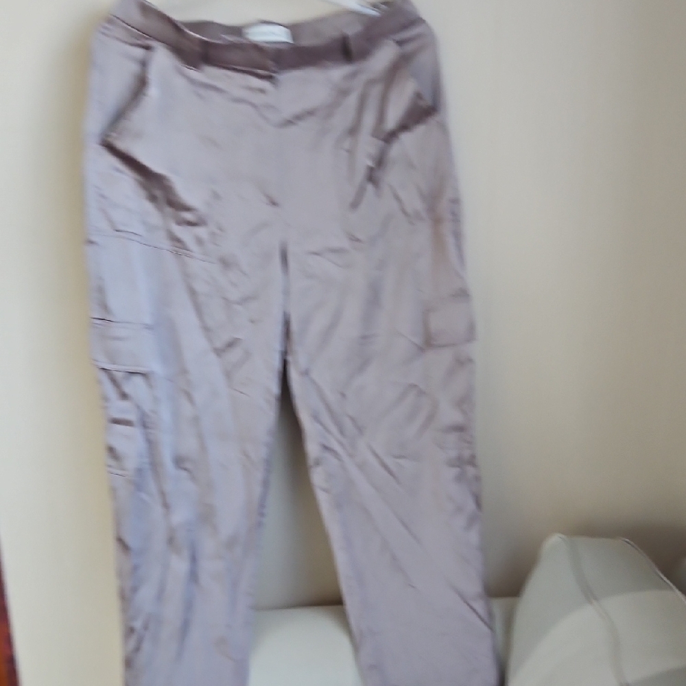 Abercrombie & Fitch Women's Taupe Pants